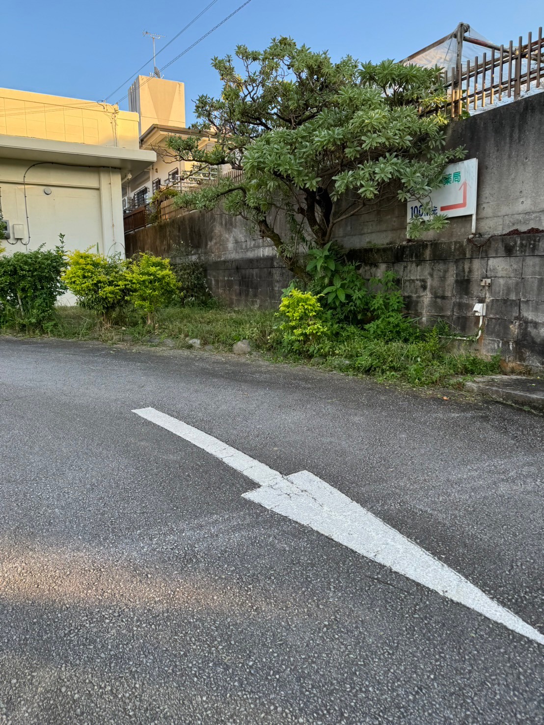 沖縄県｜中城村｜ドリーム歯科｜駐車場｜草刈り｜快適｜綺麗after6