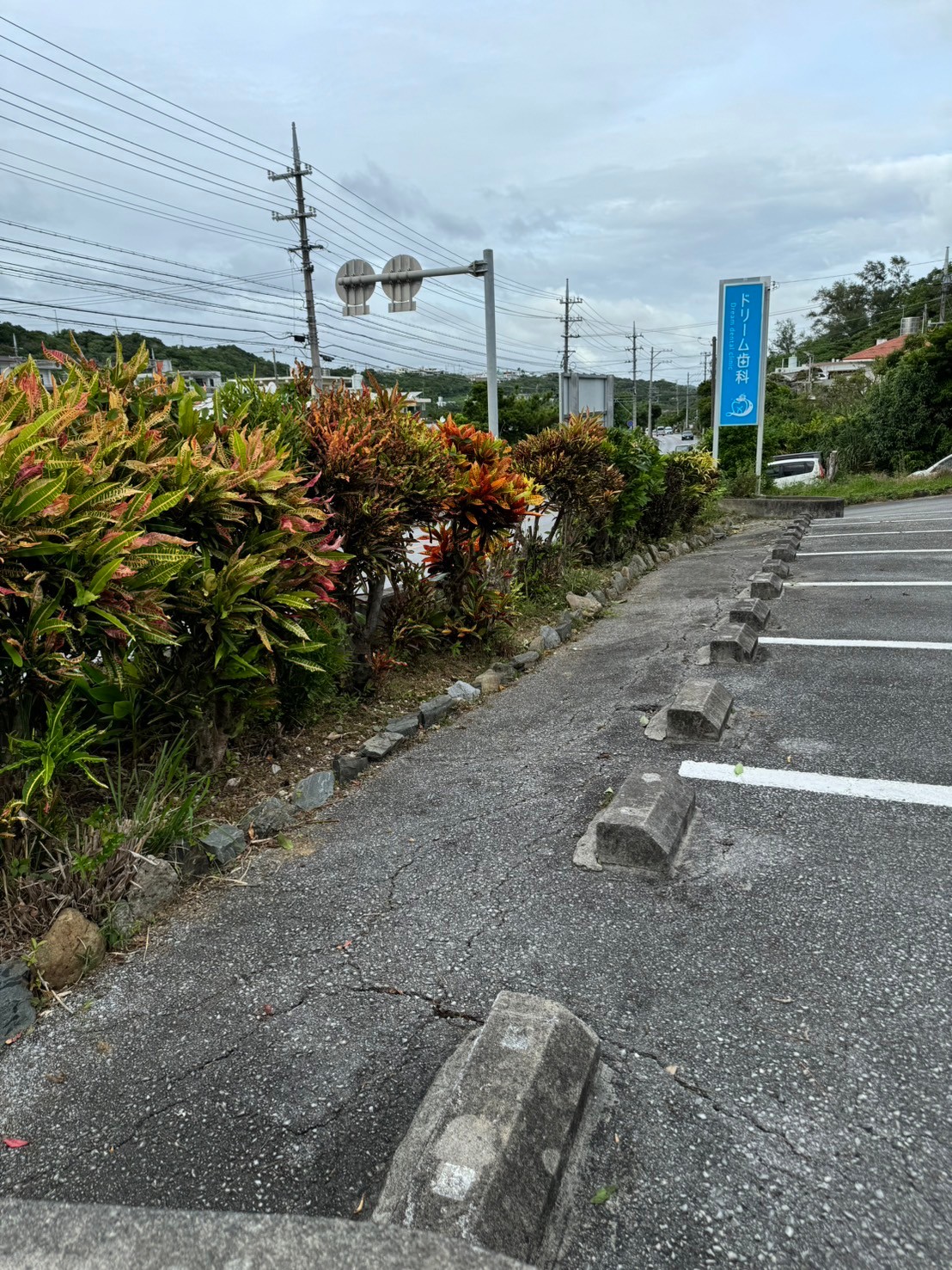 沖縄県｜中城村｜ドリーム歯科｜駐車場｜草刈り｜快適｜綺麗after1