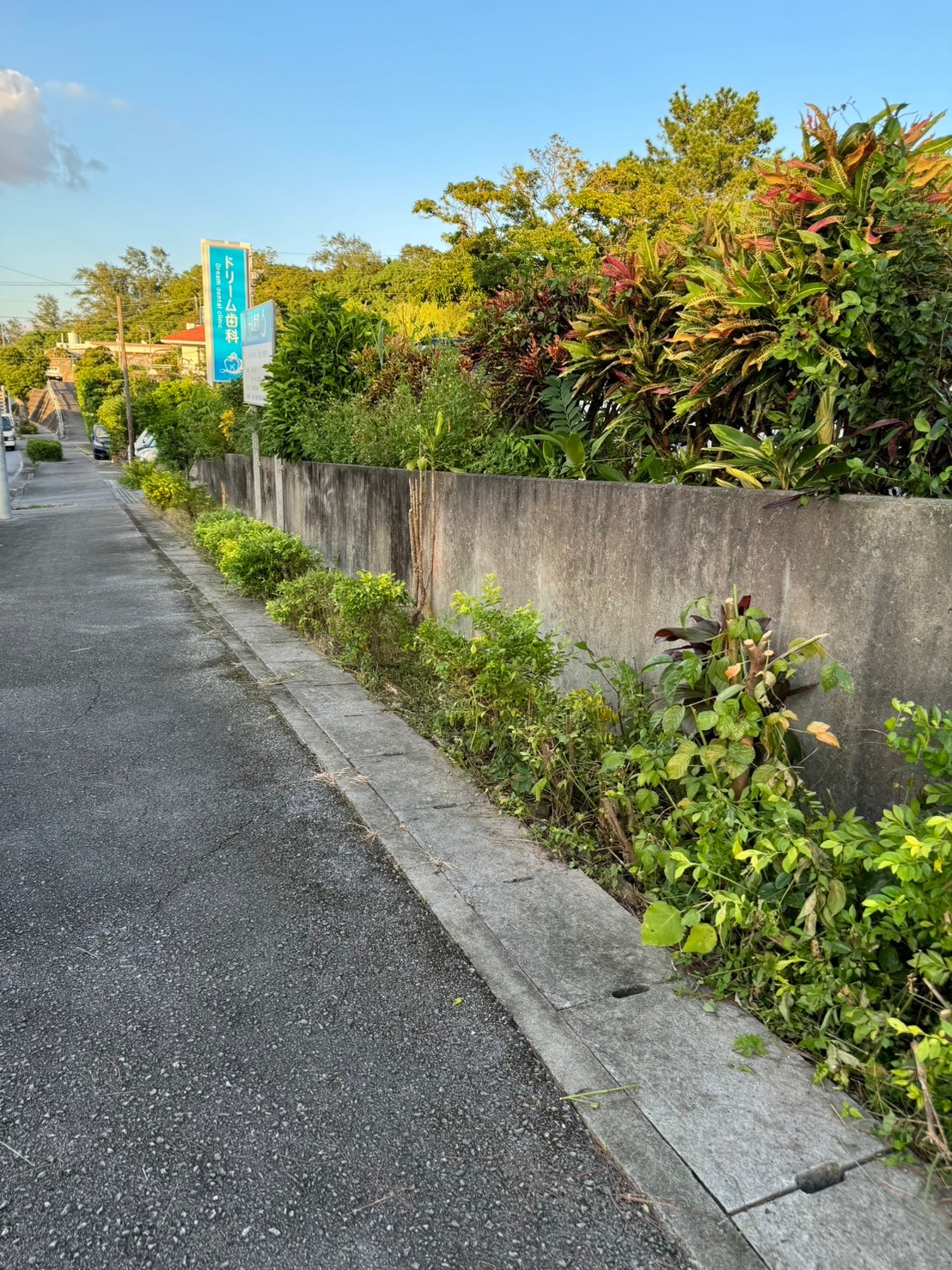 沖縄県｜中城村｜ドリーム歯科｜駐車場｜草刈り｜快適｜綺麗after5