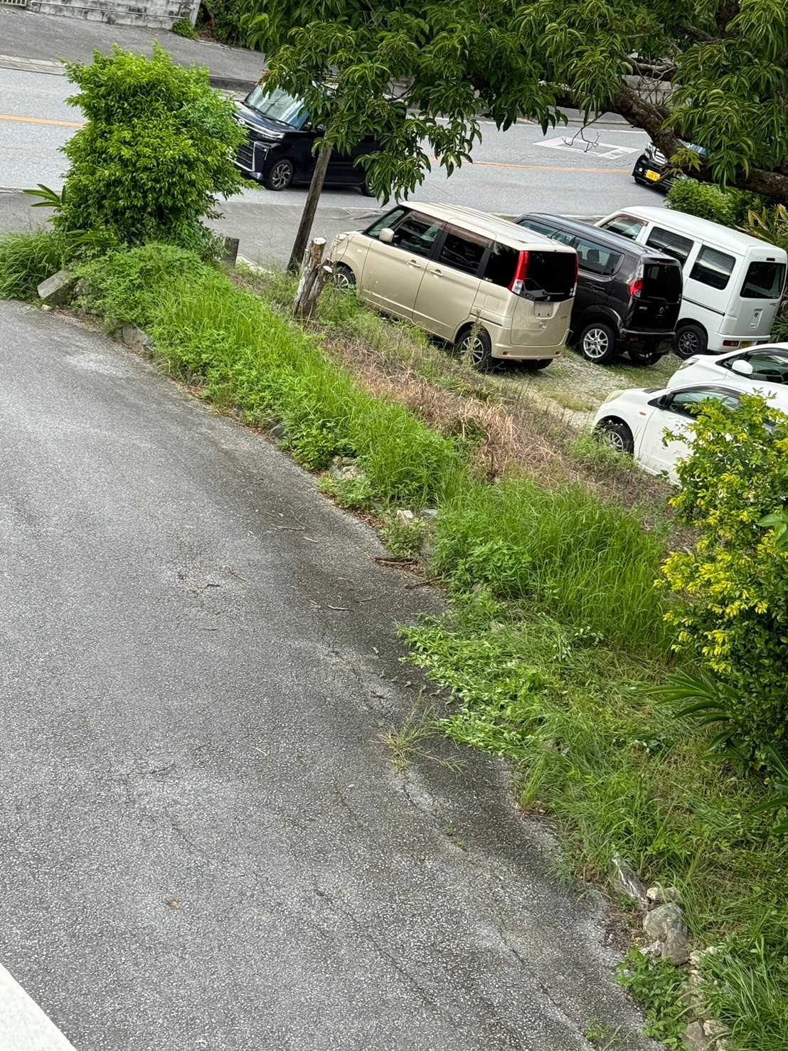 沖縄県｜中城村｜ドリーム歯科｜駐車場｜草刈り｜快適｜綺麗3